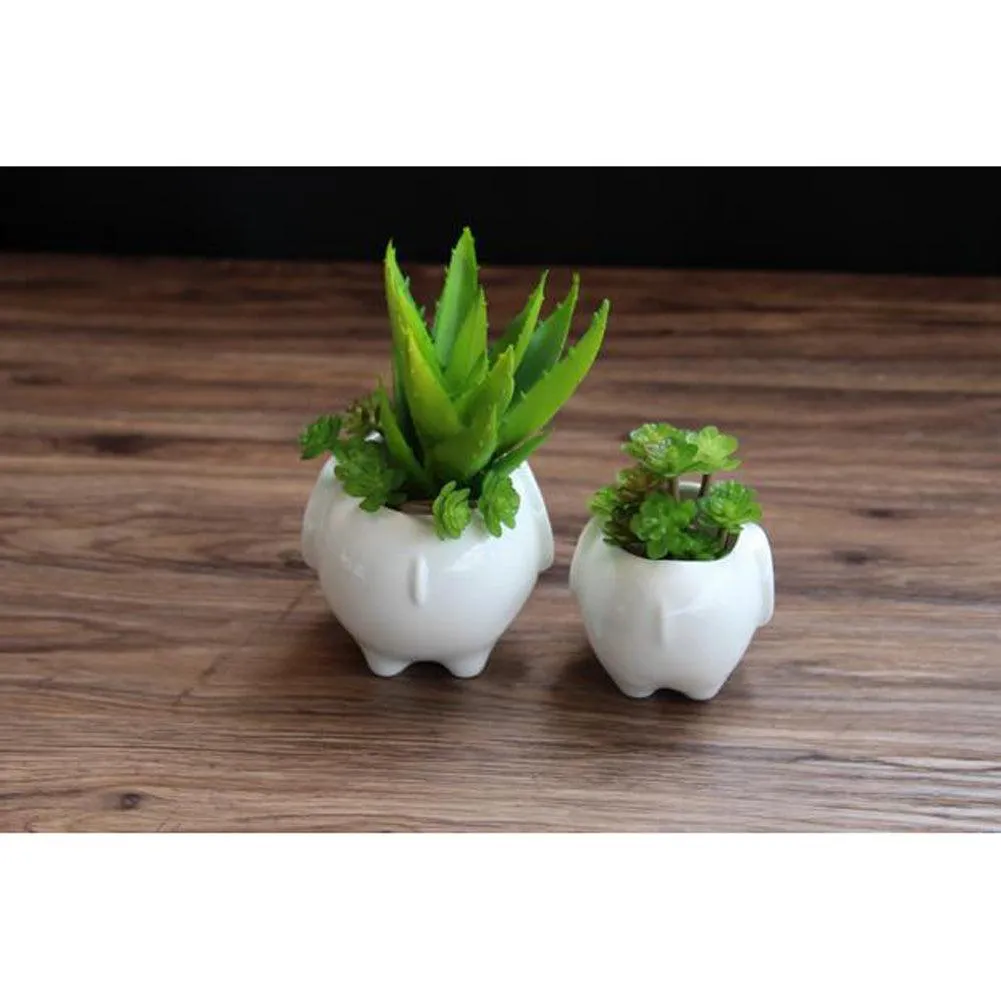 Kawaii Animals Ceramic Flower pot Elephant Succulent Planter Cactus Succulent Plants Flower Cute White Pot (1PCS Elephants), photo 5 of 7