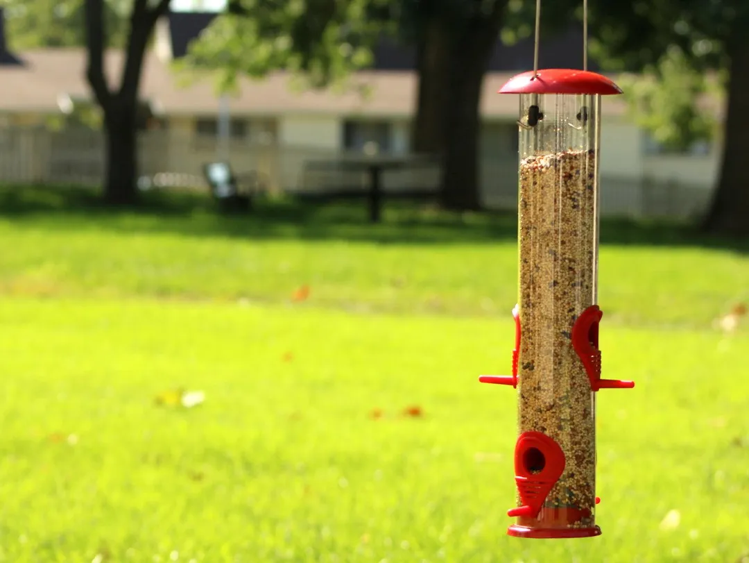 Ashman Bird Feeder, Metal Top and Bottom, Spacious Design, Attractive & Long Lasting, Fill it with Sunflower Black Oil Seeds, Clean and Fill, Great Gift for Friends and Family, Red, photo 2 of 5