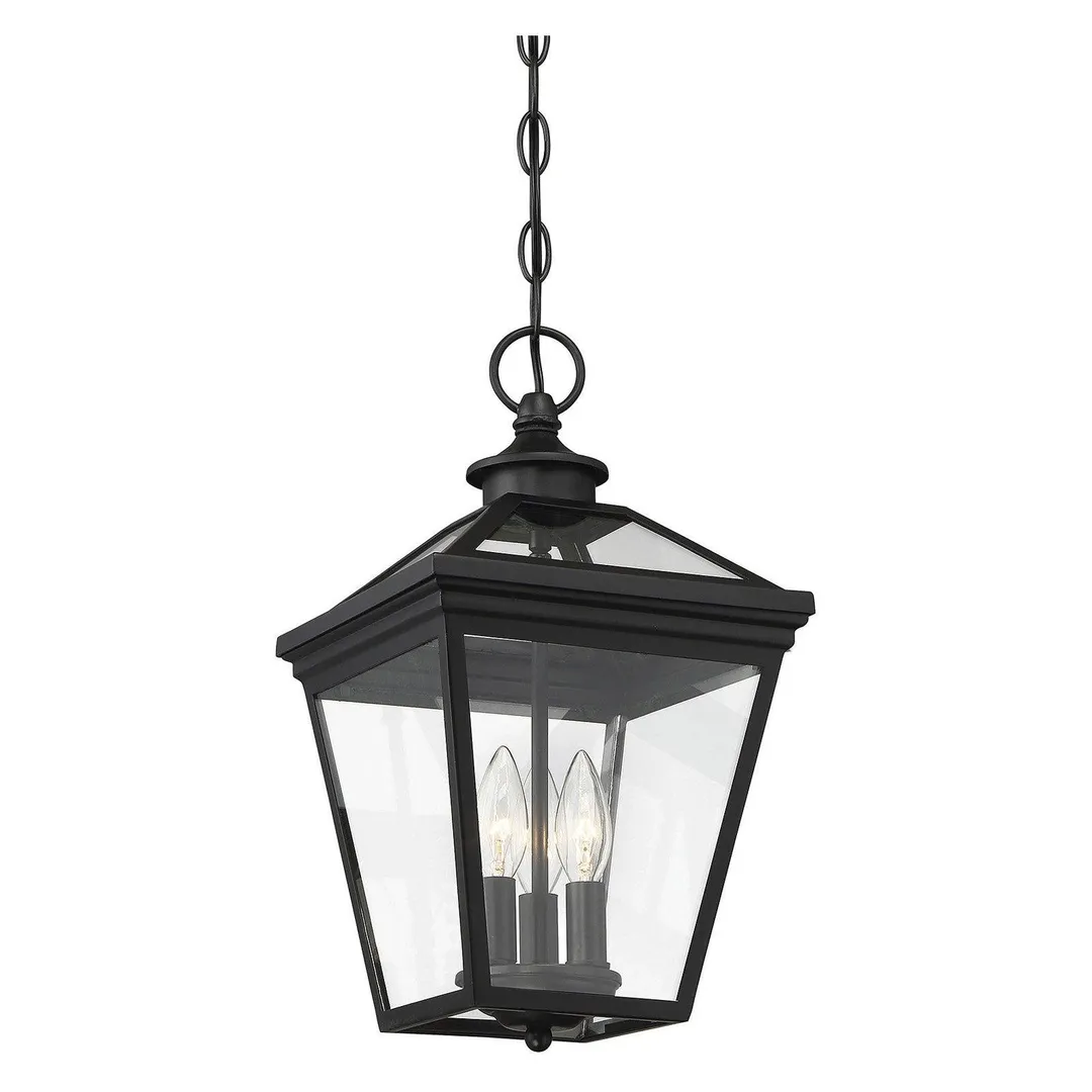 Savoy House Ellijay 5-146 Outdoor Hanging Lantern, photo 3 of 4