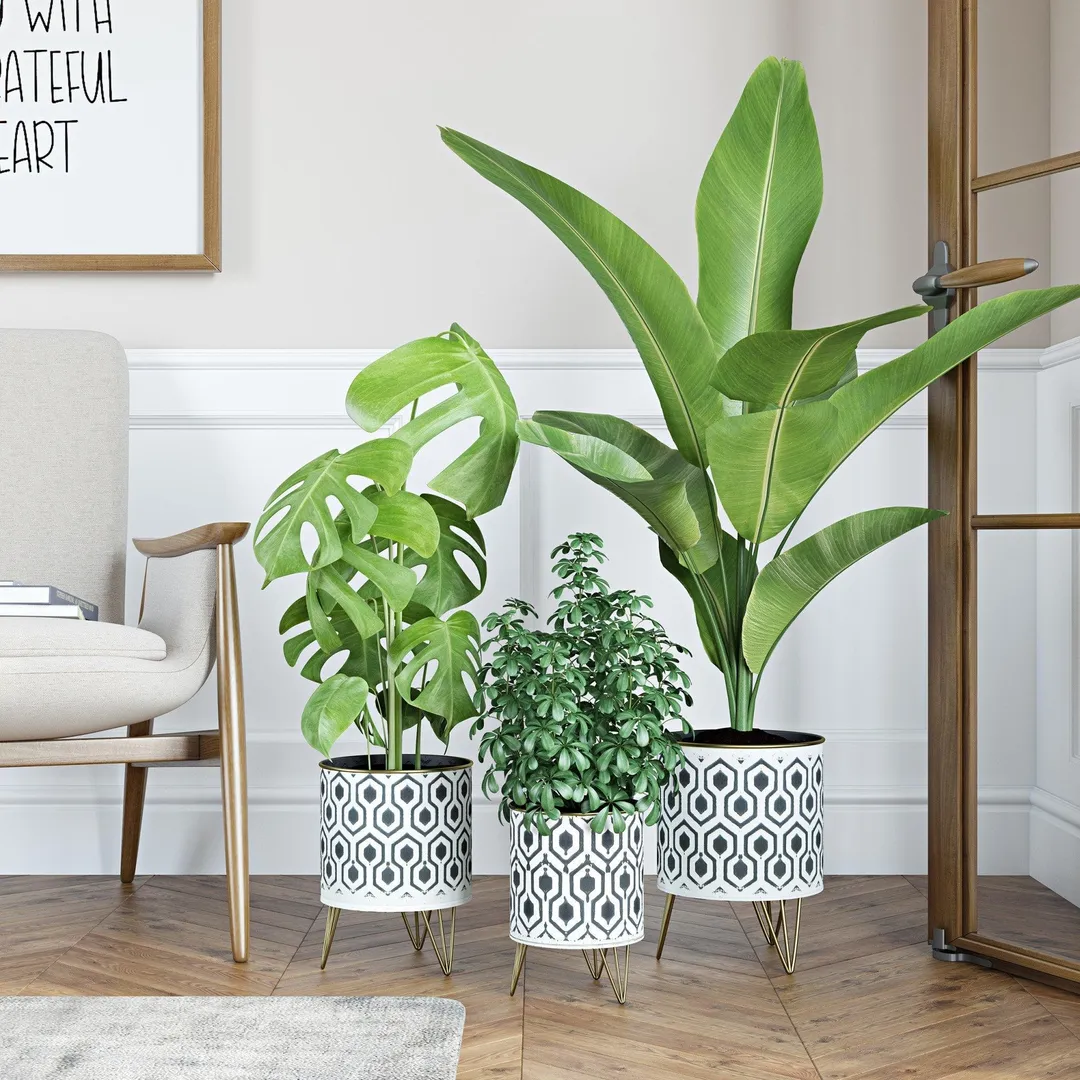 Andrey Modern Planters (Set of 3), photo 2 of 6