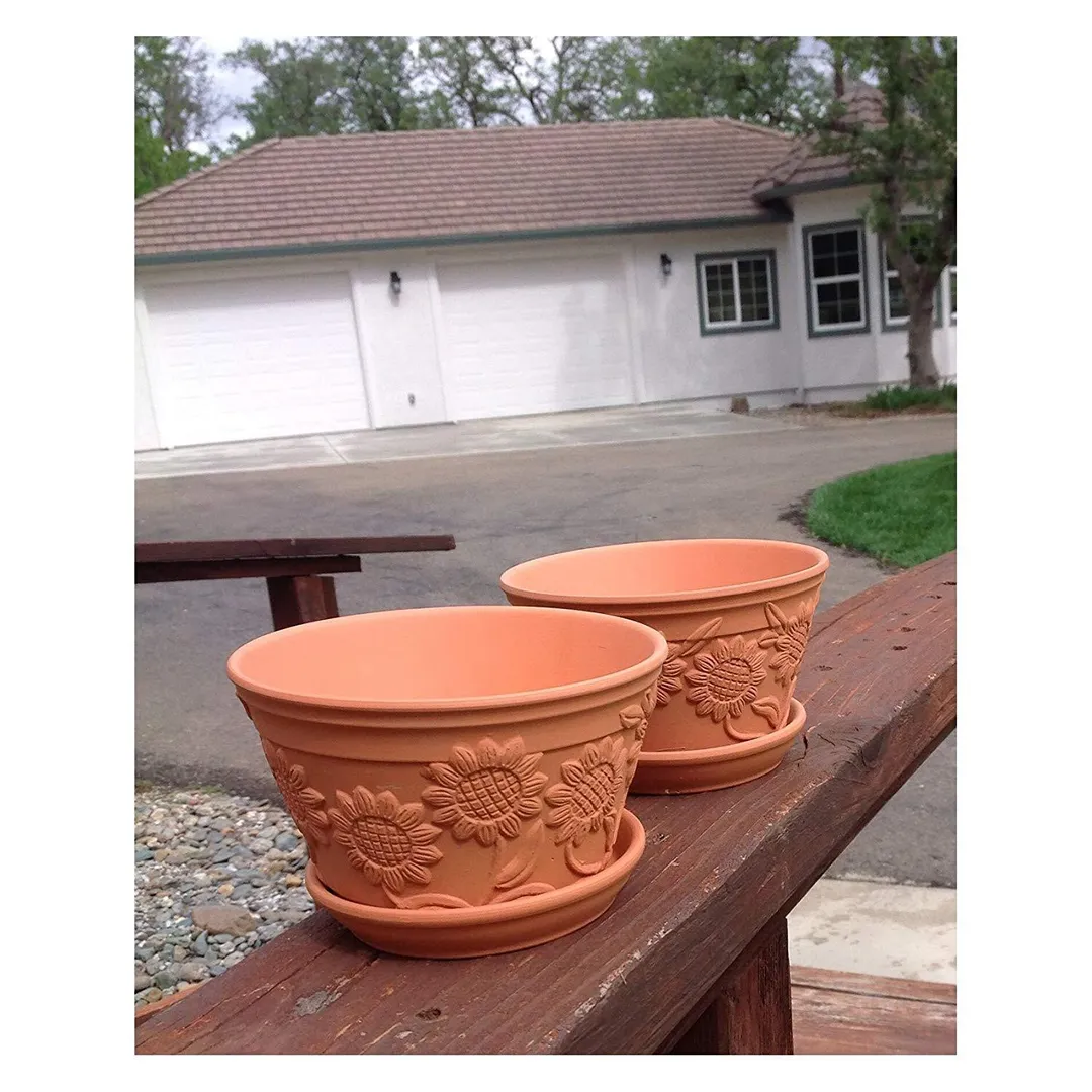 Set of 2 Raised Sunflower Embellished Natural Terracotta Garden Pot with Tray, photo 4 of 6