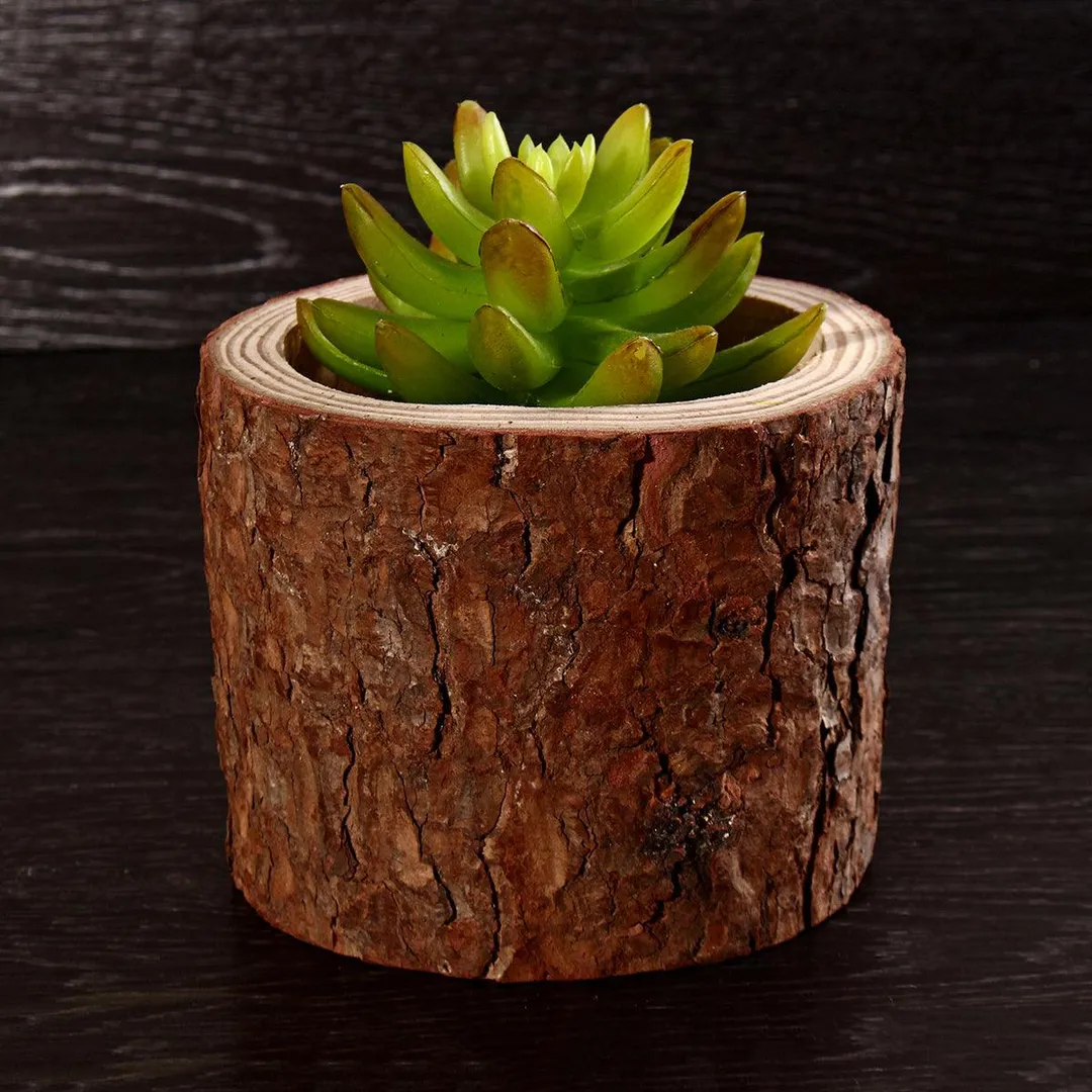 Wooden Succulent Garden Pot, Plant Pot Cactus Herb Planter, Plant Container, Gift for Mom Sister Aunt Best for Home Office Desk Decoration(2 - 5inch ), photo 4 of 9