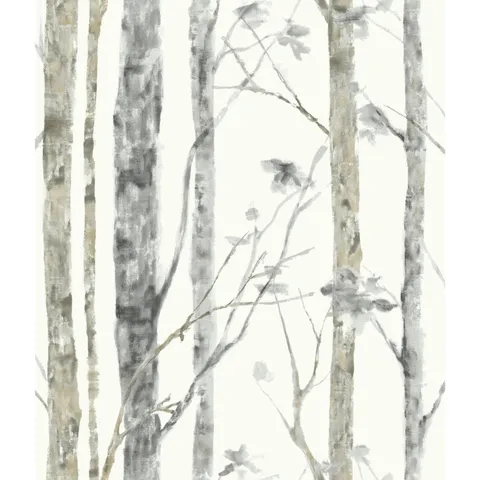 Birch Trees Peel And Stick Wall Decor Wallpaper