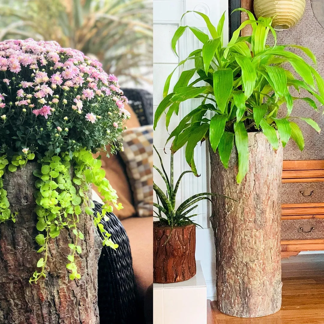 Farmhouse Porch & Home Planter. Country Woodland Rustic Tall Plant and Flower Stand. Large Outdoor Patio and Deck Unique Log Pot Decor, photo 7 of 10