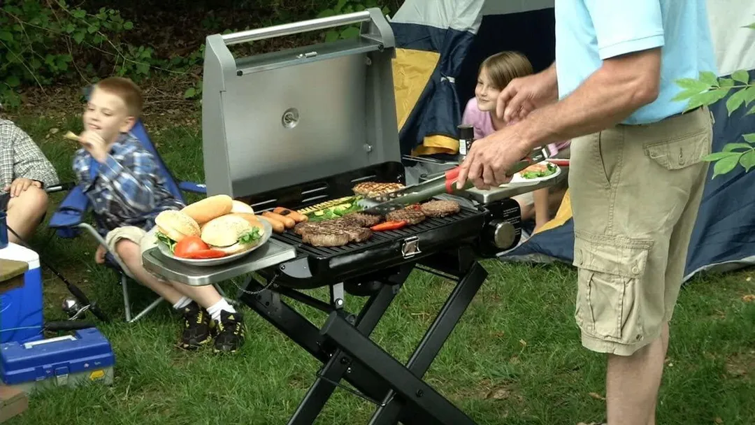 Cuisinart CGG-240 All Foods Roll-Away Gas Grill, Stainless Steel, photo 2 of 4
