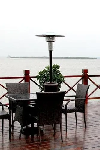 FDW Bronze Garden Outdoor Patio Heater Propane Standing LP Gas Steel w/accessorie 87, photo 2 of 4