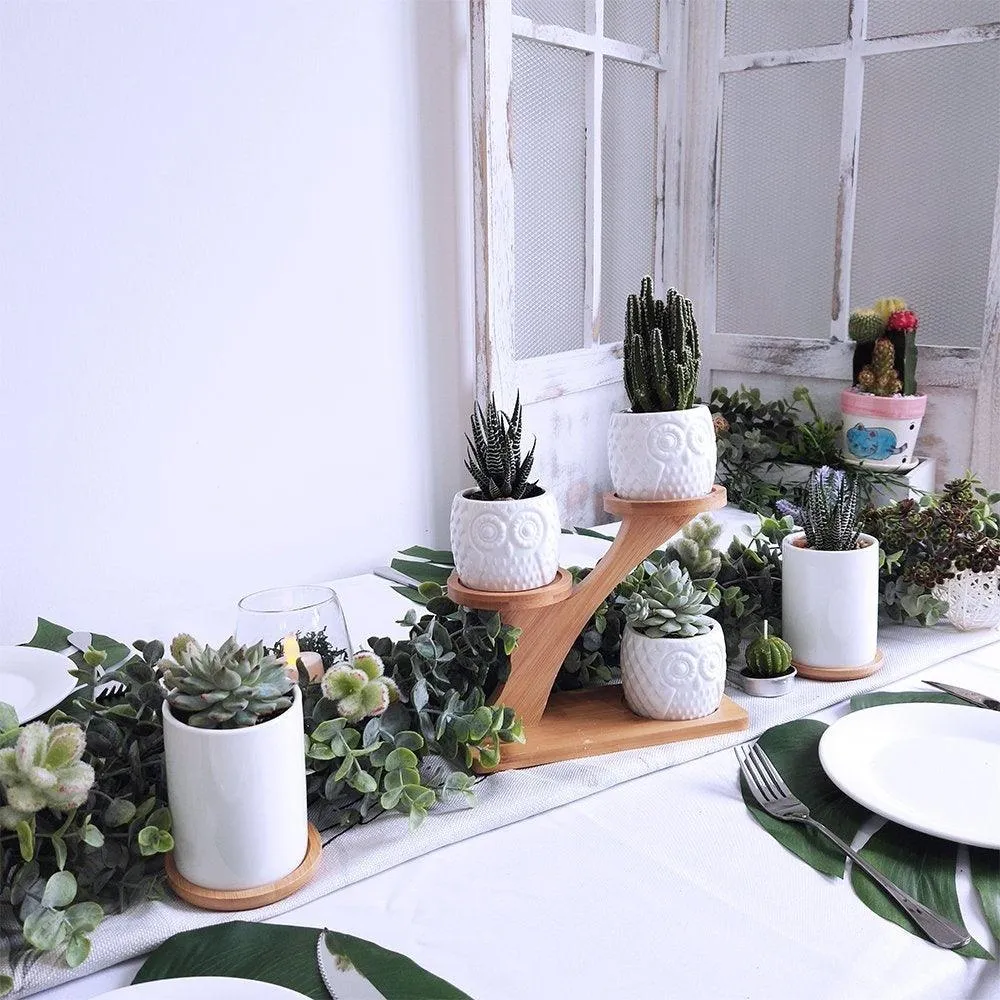 3pcs Owl Succulent Pots Flower Stand with 3 Tier Bamboo Saucers Stand Holder Home Office Desk Garden Mini Cactus Pot Indoor Decoration,White, photo 7 of 7
