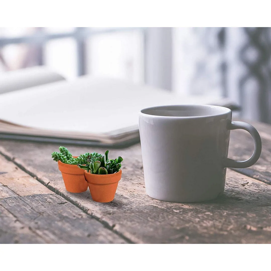 10-Pack 1.5" Terra Cotta Pots, Mini Small Terracotta Flower Clay Pots Planters for Plants, Ceramic Pottery Nursery Indoor Outdoor Garden Gardening for Cacti and Succulent, Brown, 1.5 inches, photo 6 of 6