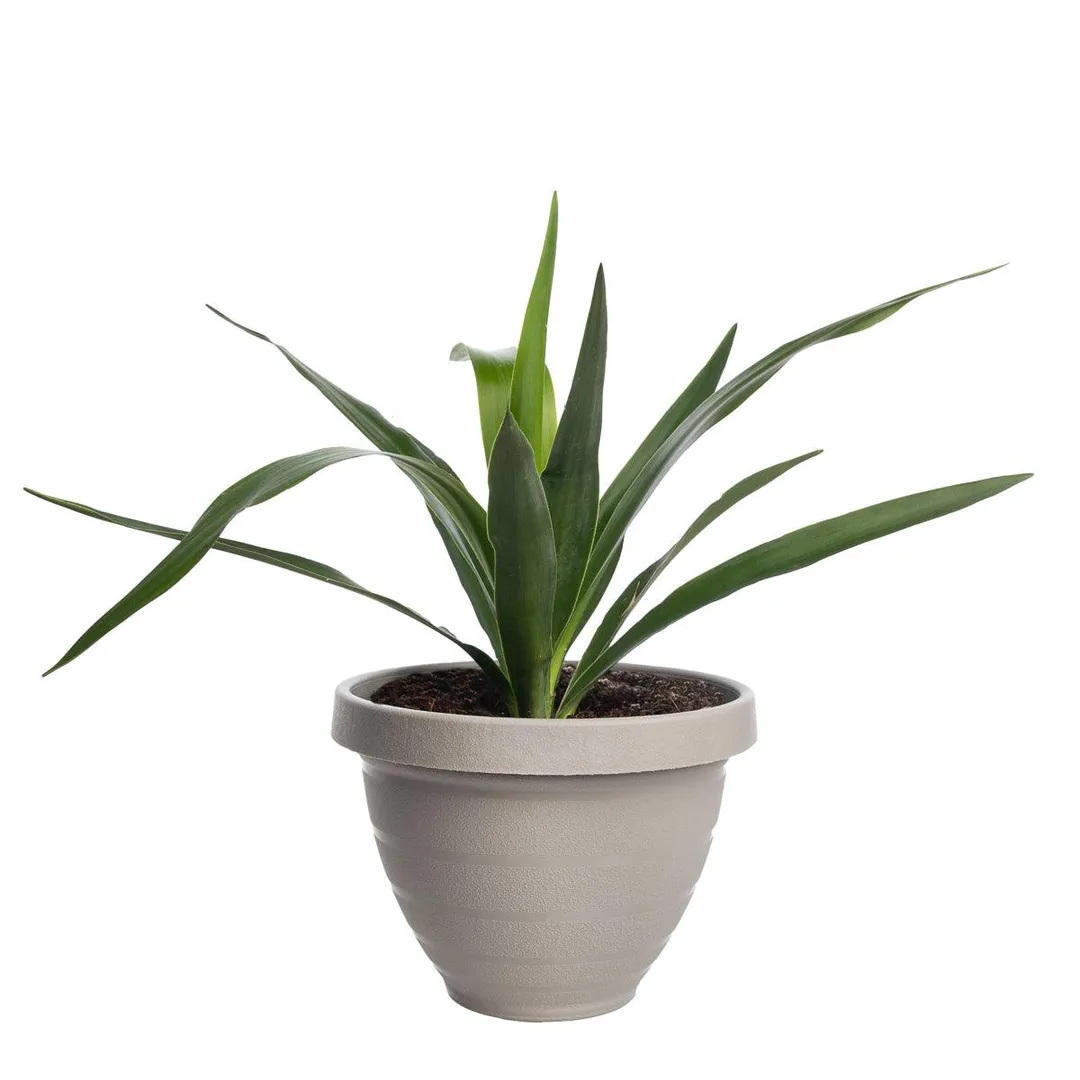 HC Companies (10 Pack) 7.5 Inch Self Watering Planter Indoor Outdoor Planters Plastic Urn Flower Pot, photo 5 of 5