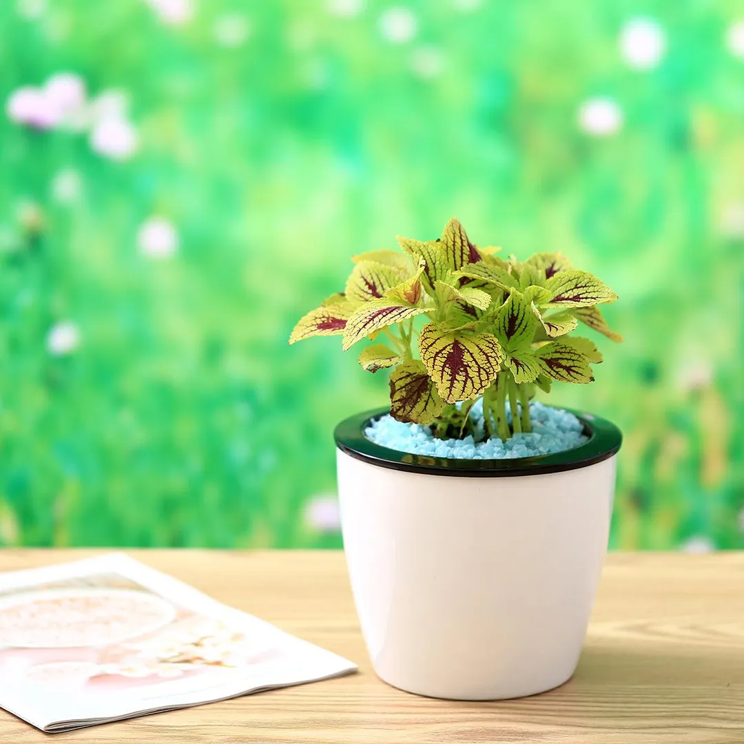 6 Pack 6.7" Self Watering Planter Wicking Pots for Indoor Golden Devil's Ivy, African Violet, Ocean Spider Plant, Orchid, White Color, photo 6 of 7