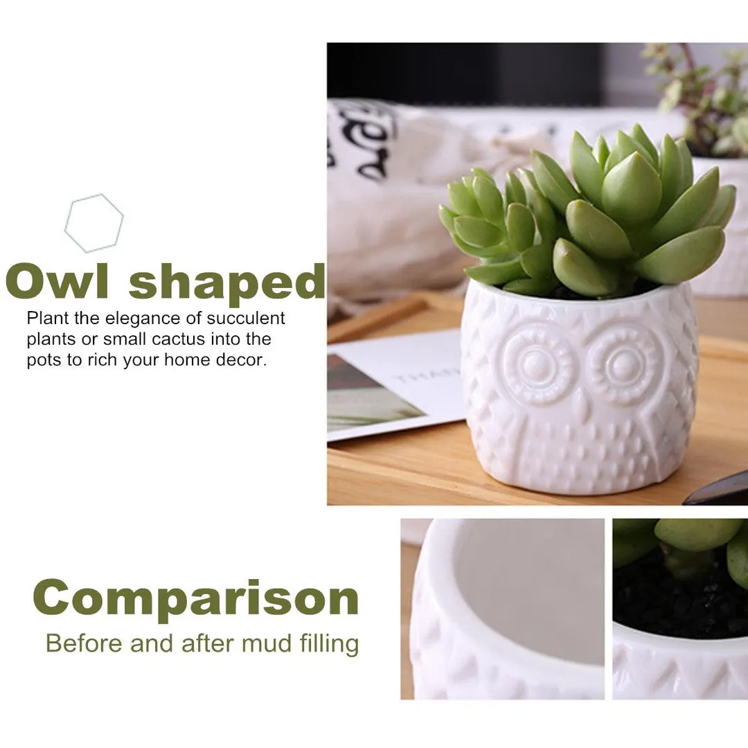 3pcs Owl Succulent Pots Flower Stand with 3 Tier Bamboo Saucers Stand Holder Home Office Desk Garden Mini Cactus Pot Indoor Decoration,White, photo 5 of 7