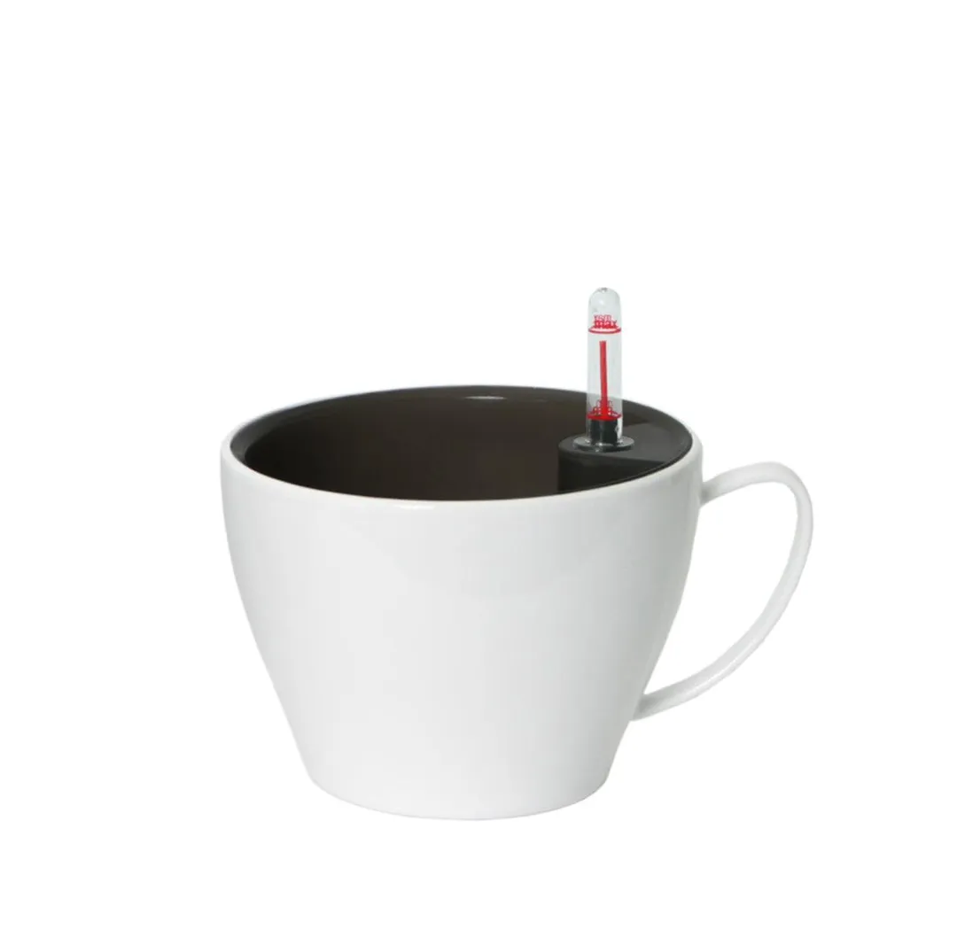 Algreen Modena Cappuccino Planter, 7-In Cup Planter, Glossy White, photo 2 of 3