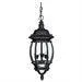 Capital Lighting French Country 3-LT Hanging Outdoor Lantern - Black, photo 2 of 2