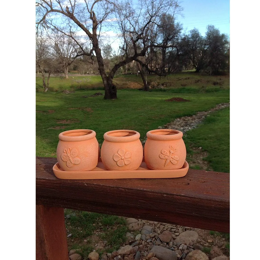 Terracotta Set of 3 Small Embossed Earthenware Planters or Herb Pots and Tray, Round shape, photo 2 of 3