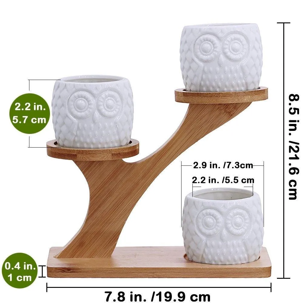 3pcs Owl Succulent Pots Flower Stand with 3 Tier Bamboo Saucers Stand Holder Home Office Desk Garden Mini Cactus Pot Indoor Decoration,White, photo 2 of 7