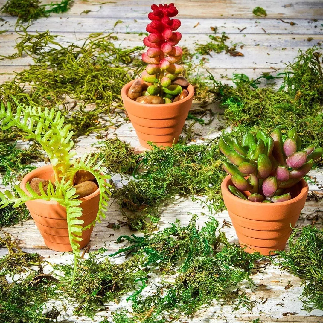 10 Packs 1.5" Terra Cotta Pots, Mini Small Terracotta Flower Clay Pots Planters Ceramic Pottery Nursey Indoor Outdoor Gardening for Cacti & Succulent Plants, Brown, 1.5 inches, photo 2 of 6