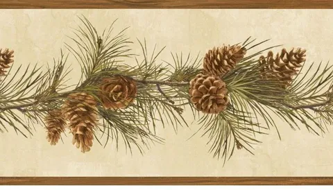 878467 Pine Cones Wallpaper Border HTM48401b