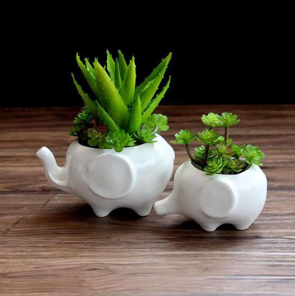 Kawaii Animals Ceramic Flower pot Elephant Succulent Planter Cactus Succulent Plants Flower Cute White Pot (1PCS Elephants), photo 7 of 7
