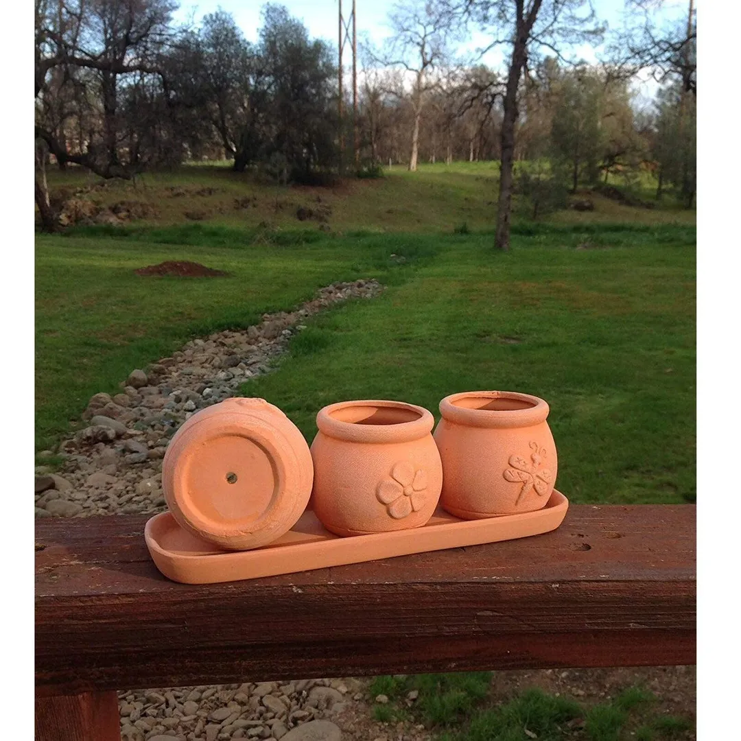 Terracotta Set of 3 Small Embossed Earthenware Planters or Herb Pots and Tray, Round shape, photo 3 of 3