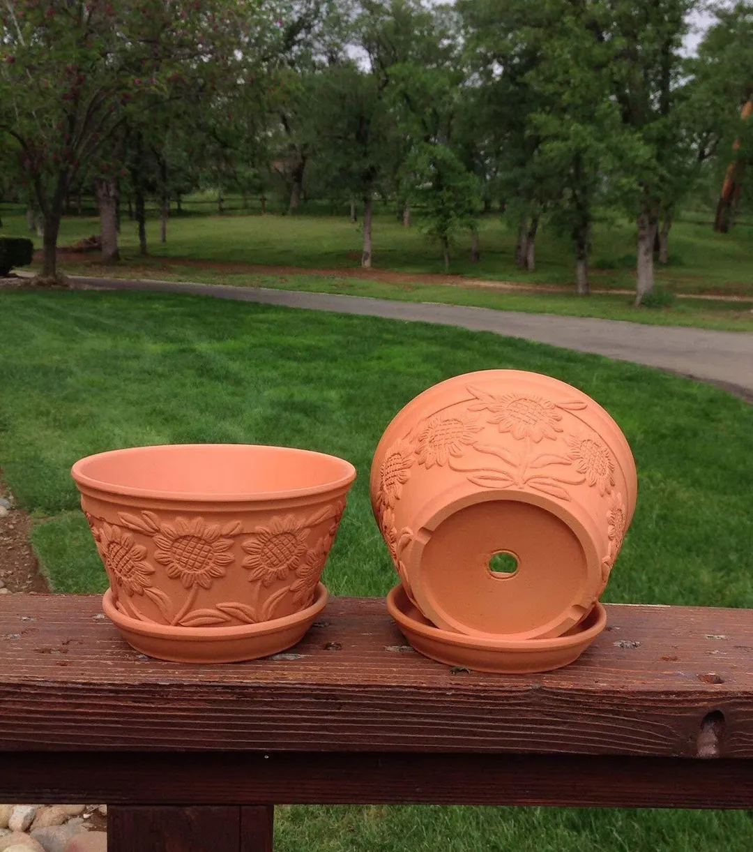 Set of 2 Raised Sunflower Embellished Natural Terracotta Garden Pot with Tray, photo 3 of 6