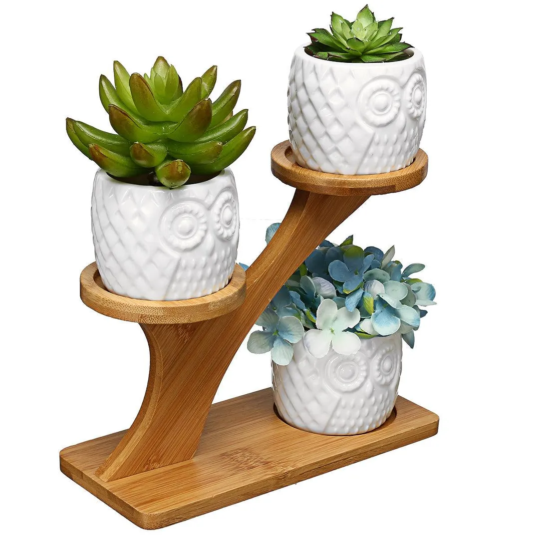 3pcs Owl Succulent Pots Flower Stand with 3 Tier Bamboo Saucers Stand Holder Home Office Desk Garden Mini Cactus Pot Indoor Decoration,White, photo 3 of 7