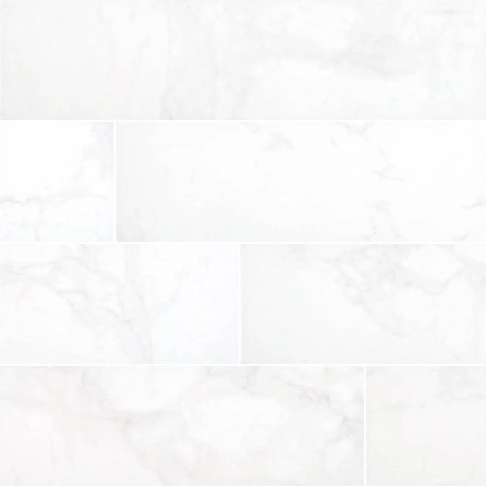Carrara 24 in. x 24 in. Polished Porcelain Floor and Wall Tile (16 sq. ft. / case), photo 5 of 5