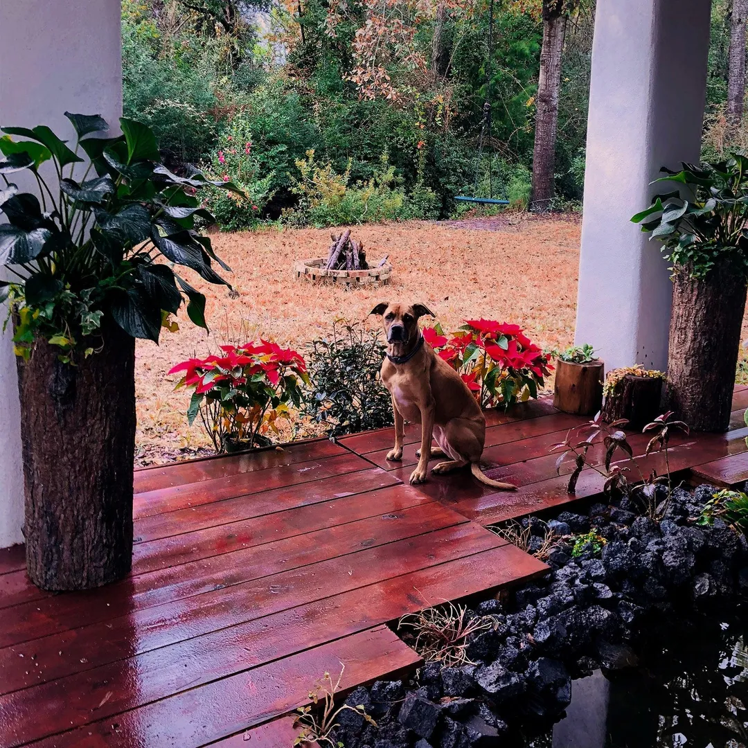 Farmhouse Porch & Home Planter. Country Woodland Rustic Tall Plant and Flower Stand. Large Outdoor Patio and Deck Unique Log Pot Decor, photo 9 of 10