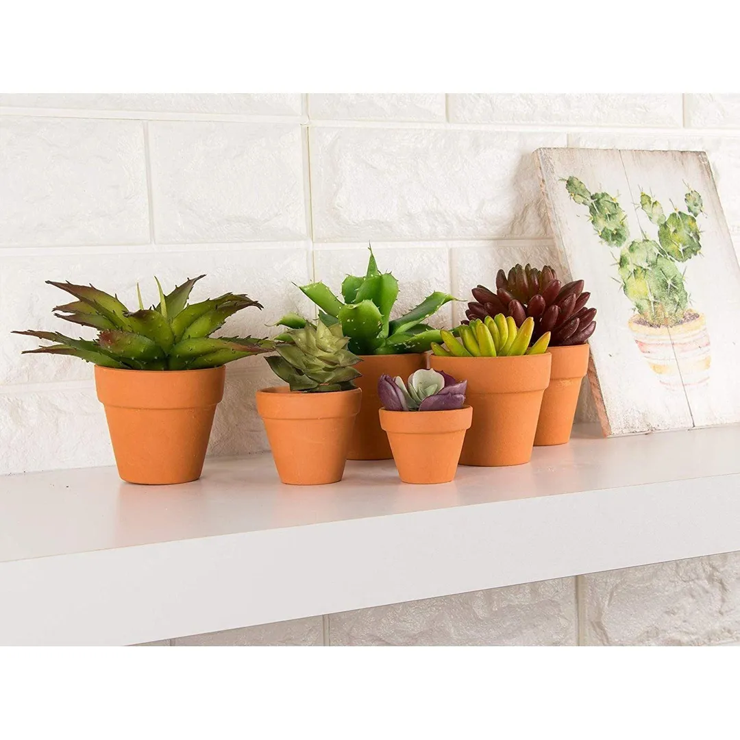 10-Pack 2.6" Terra Cotta Pots, Mini Small Terracotta Flower Clay Pots Planters for Plants with Drainage Holes, Ceramic Pottery Nursery Indoor Outdoor Garden Gardening for Cacti & Succulent 2.6 inches, photo 3 of 7