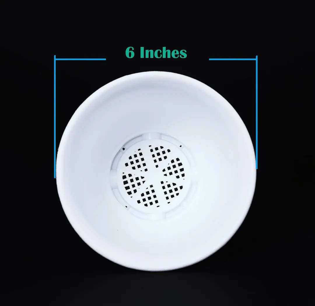 10 Pack 6 Inch Plastic Round Drainage Plant Pots Containers with Saucers Trays for Indoor and Outdoor Herbs, Succulents, Cactus and Flowers, photo 3 of 7