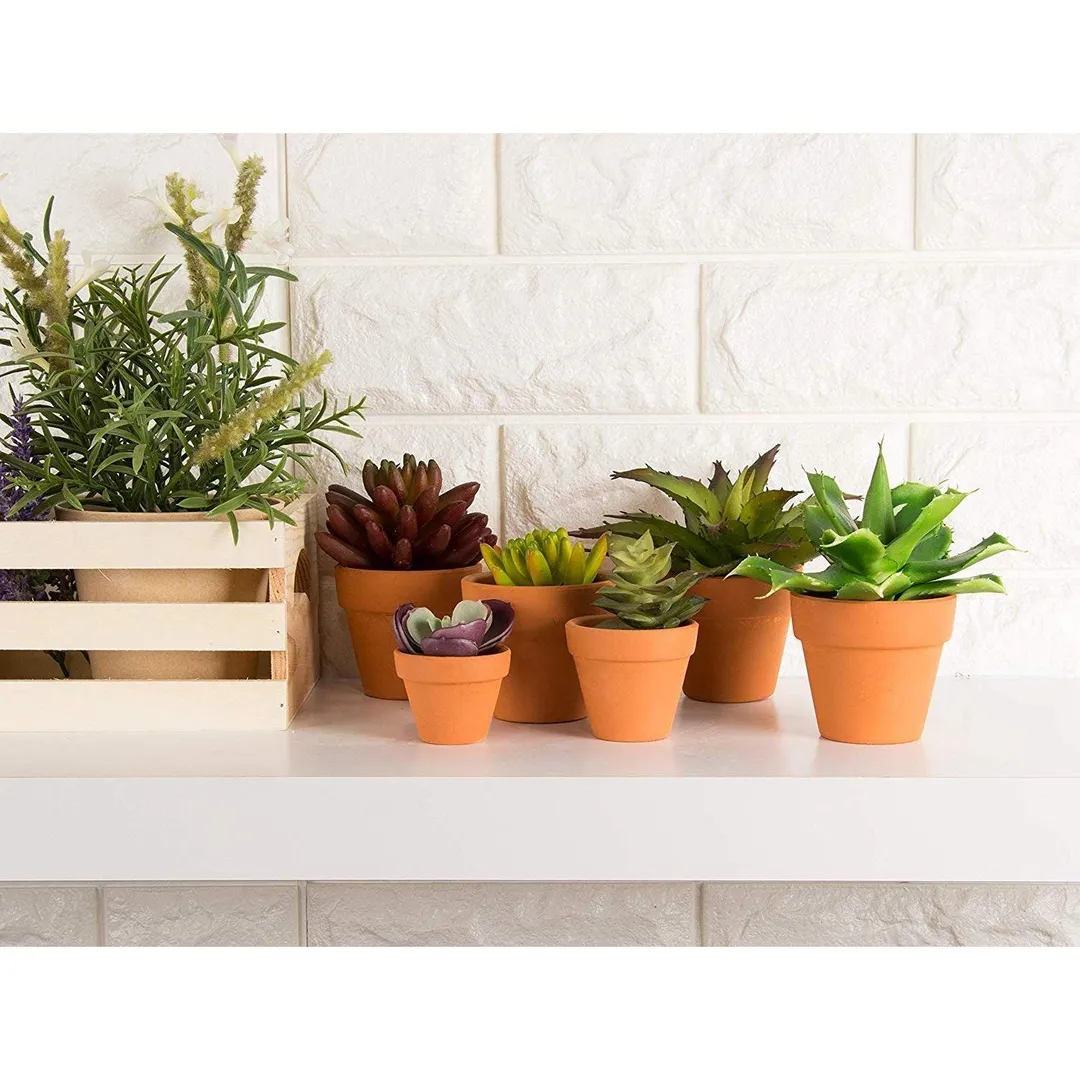10-Pack 2.6" Terra Cotta Pots, Mini Small Terracotta Flower Clay Pots Planters for Plants with Drainage Holes, Ceramic Pottery Nursery Indoor Outdoor Garden Gardening for Cacti & Succulent 2.6 inches, photo 4 of 7