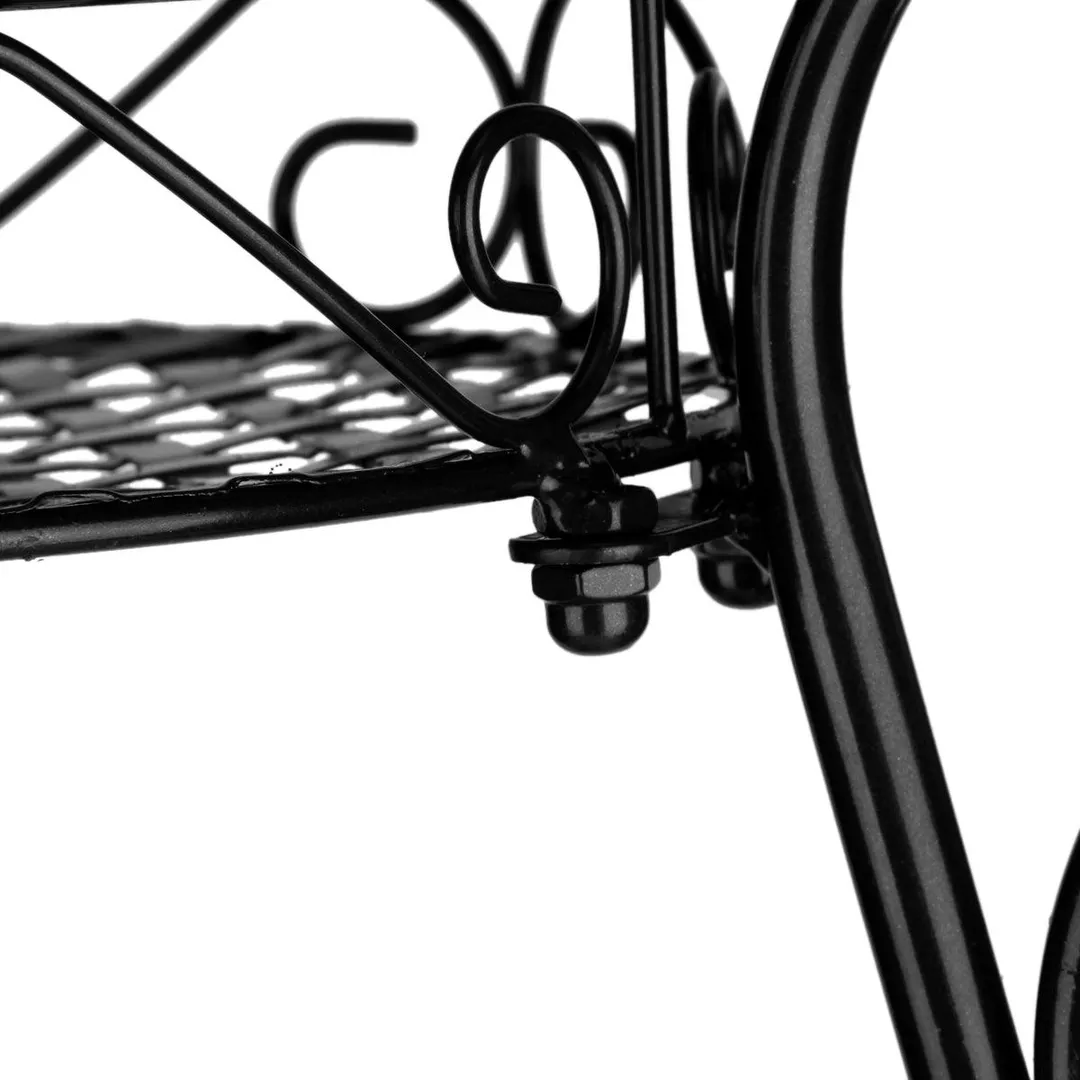 Dazone Demountable Metal 2 Tiers Plant Rack Indoor Floor Model Potted Plant Stand Black, photo 2 of 7