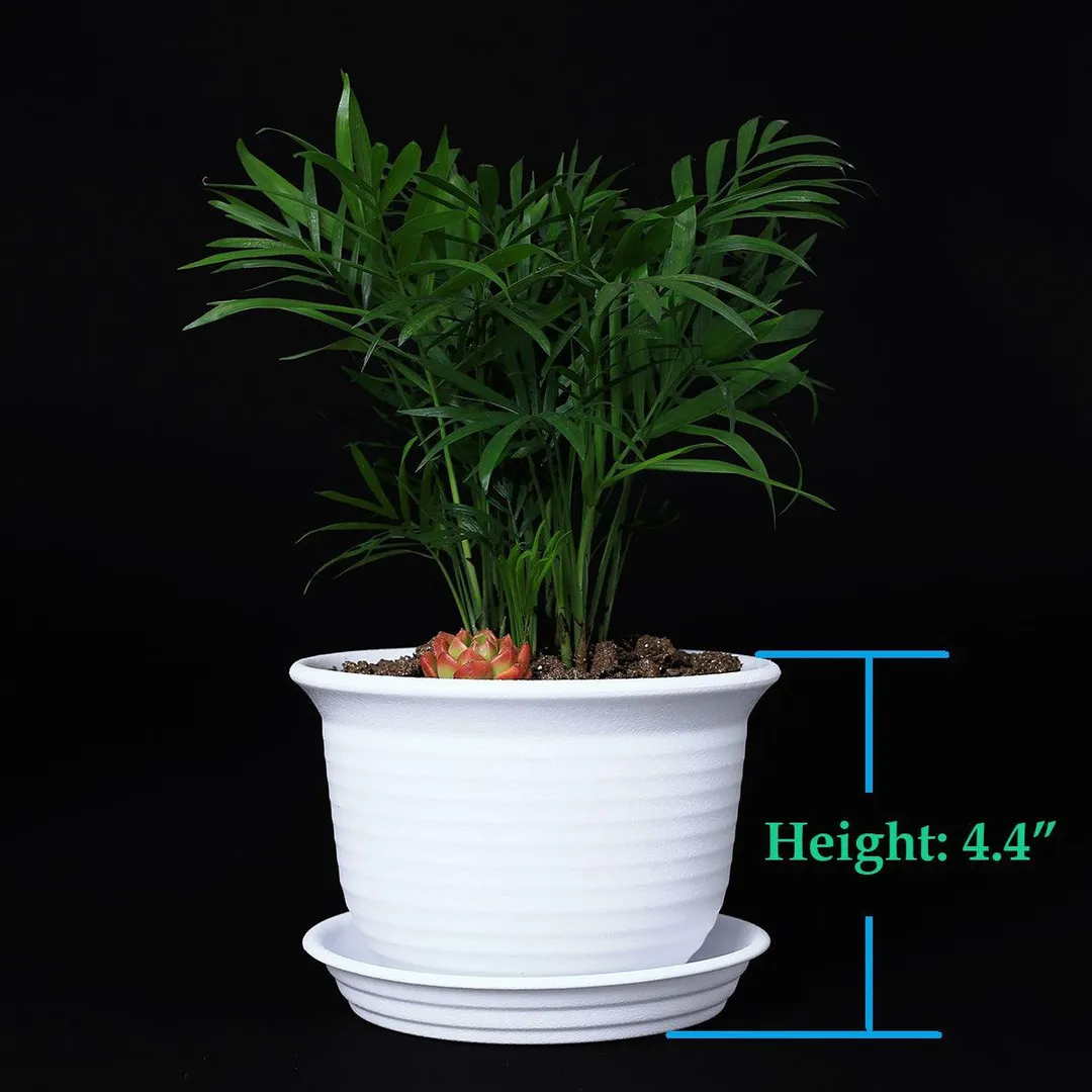 10 Pack 6 Inch Plastic Round Drainage Plant Pots Containers with Saucers Trays for Indoor and Outdoor Herbs, Succulents, Cactus and Flowers, photo 2 of 7