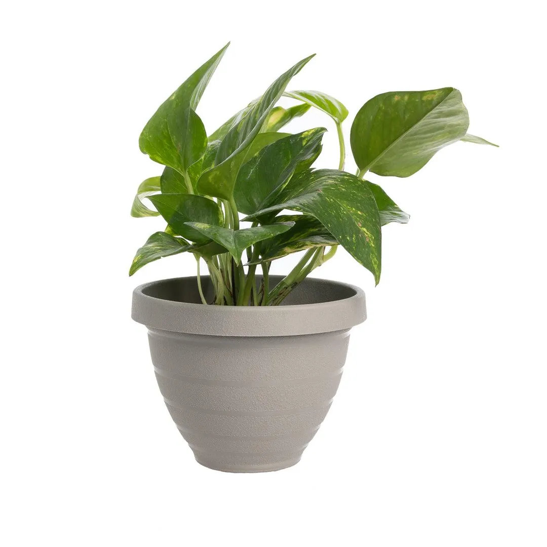 HC Companies (10 Pack) 6" Outdoor Indoor Self Watering Planters: Plastic Planter Pots, Urn Planter Set For Flower Pots, Herb Planter, Garden Planters, photo 5 of 5