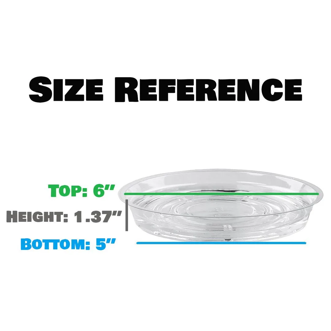 20 Pack 6 Inches Clear Plastic Plant Saucer Drip Trays Small Plant Plate Dish for Indoor Flower Pots and Planters in Bulk, photo 2 of 3